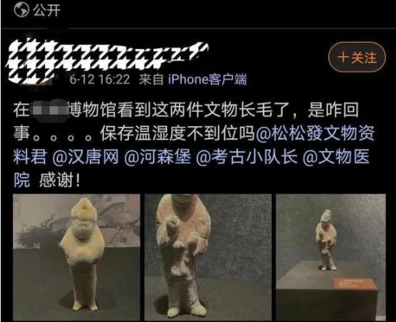 长毛文物.png
